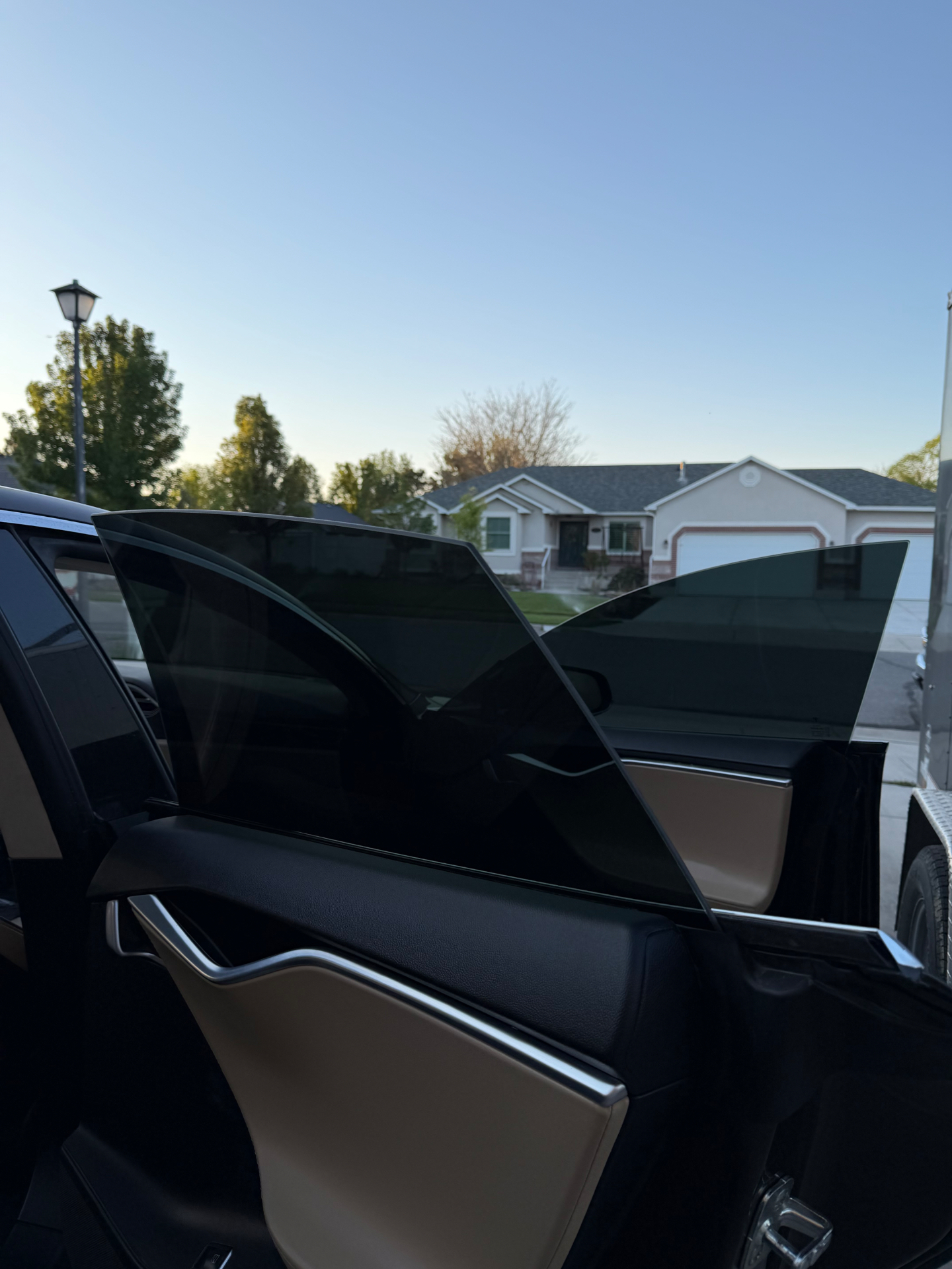 Jungle Tint window tint work