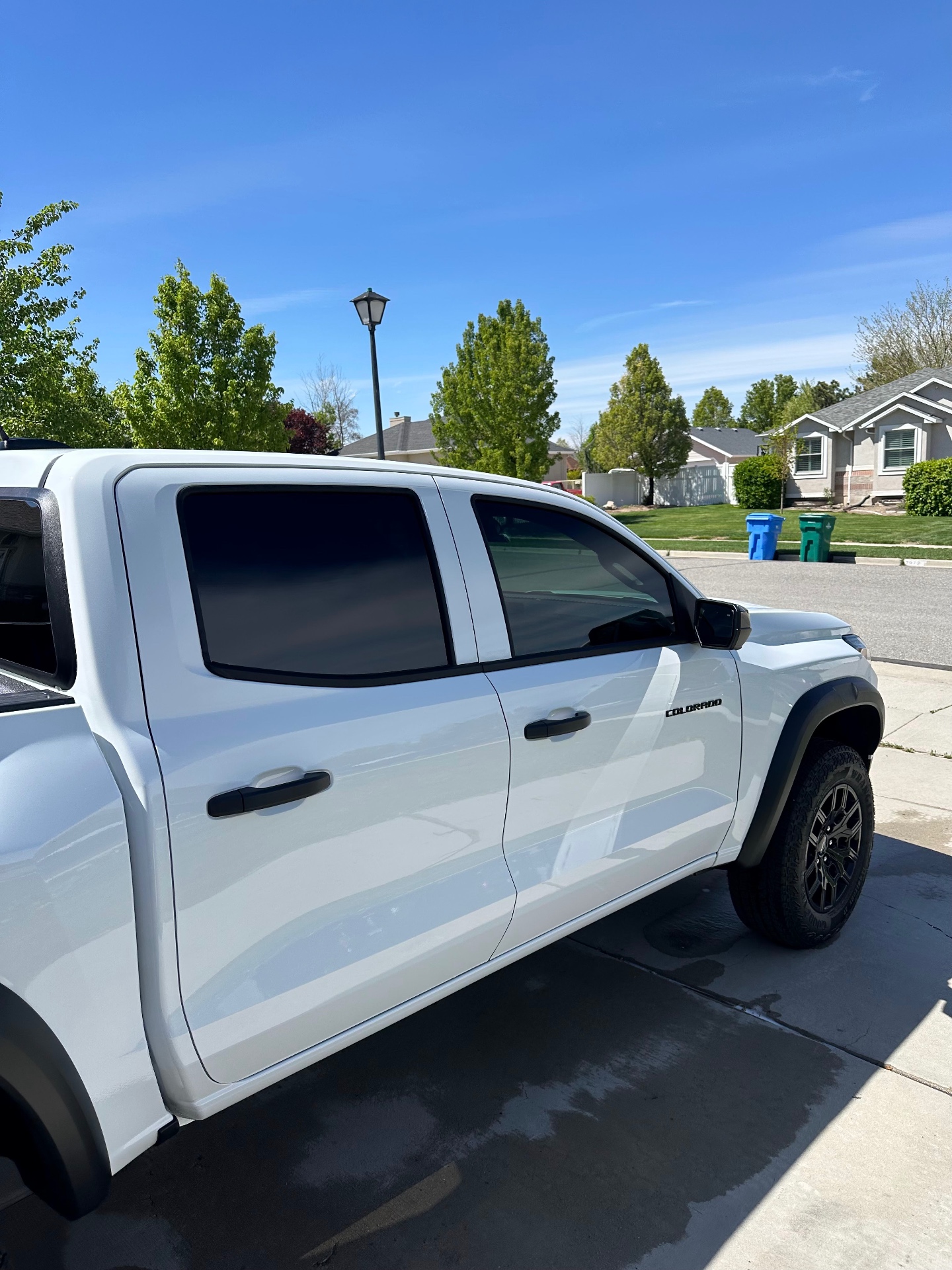 Jungle Tint window tint work